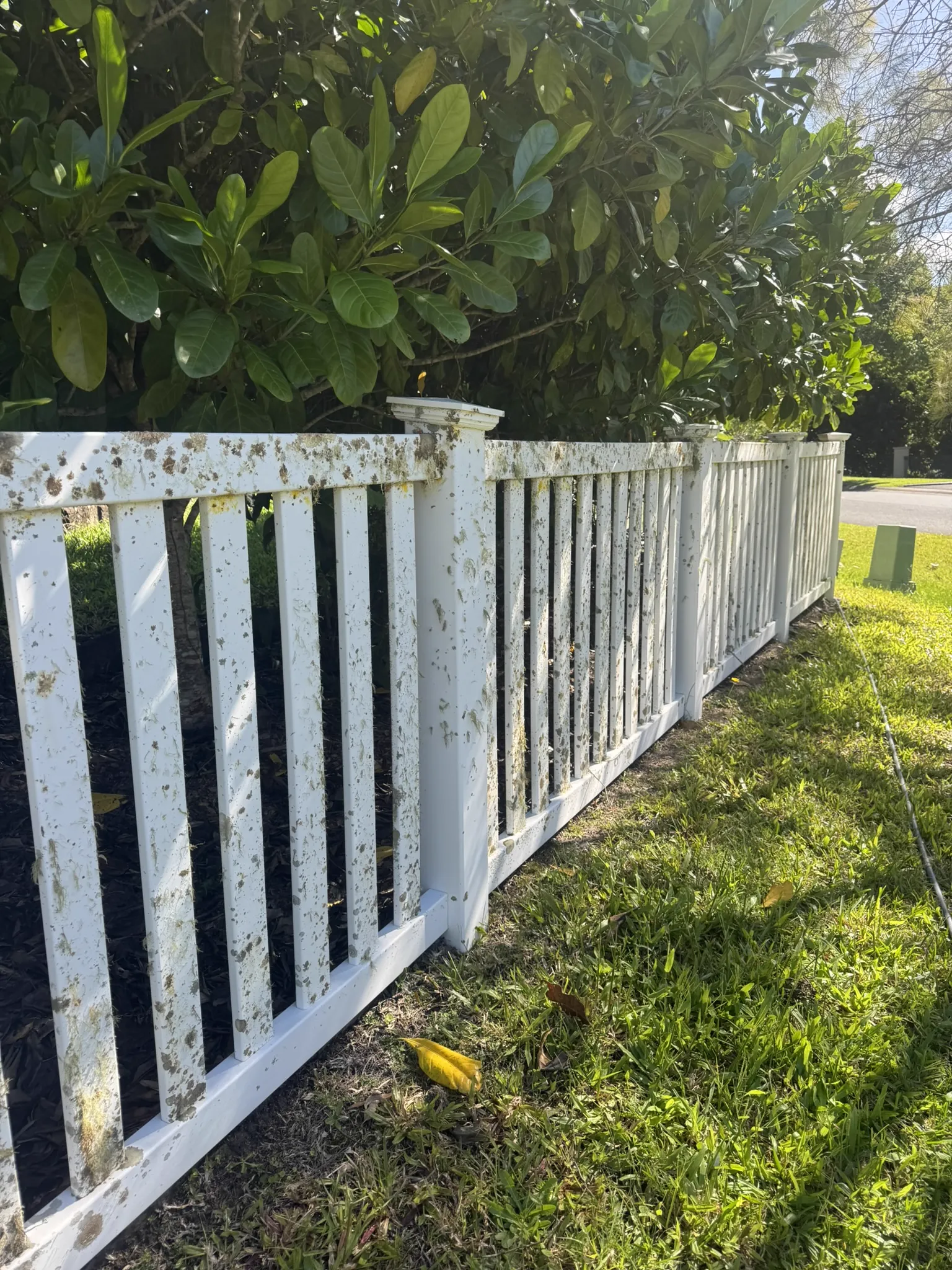White picket fence covered in mould and grime — before