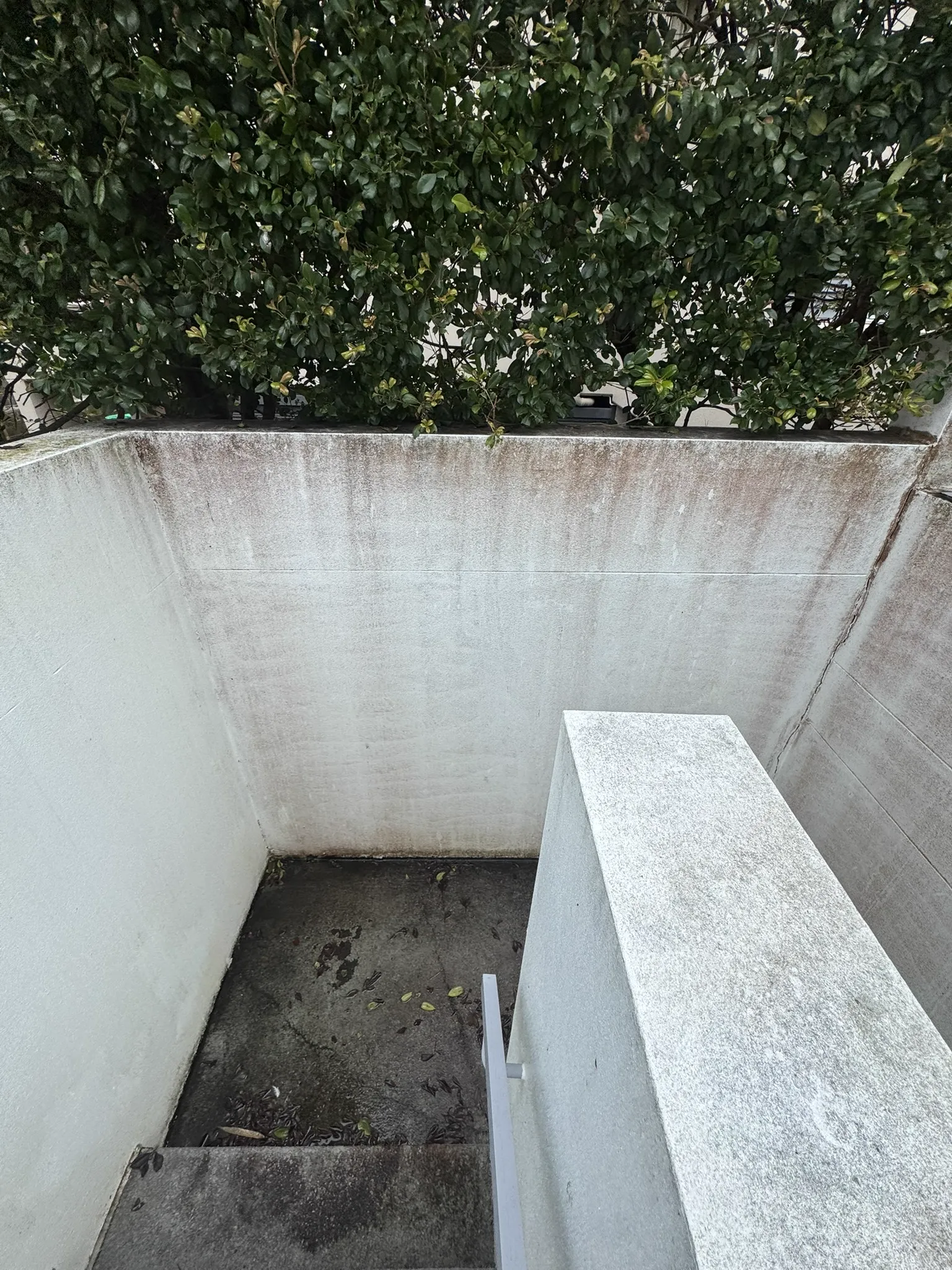 Dirty stairwell and render wall with mould streaking — before